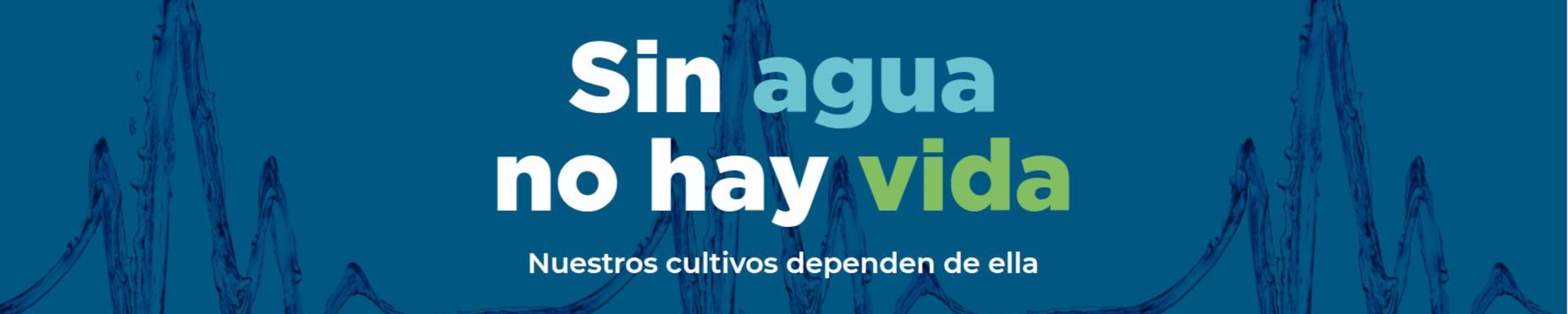 Sin agua no hay vida