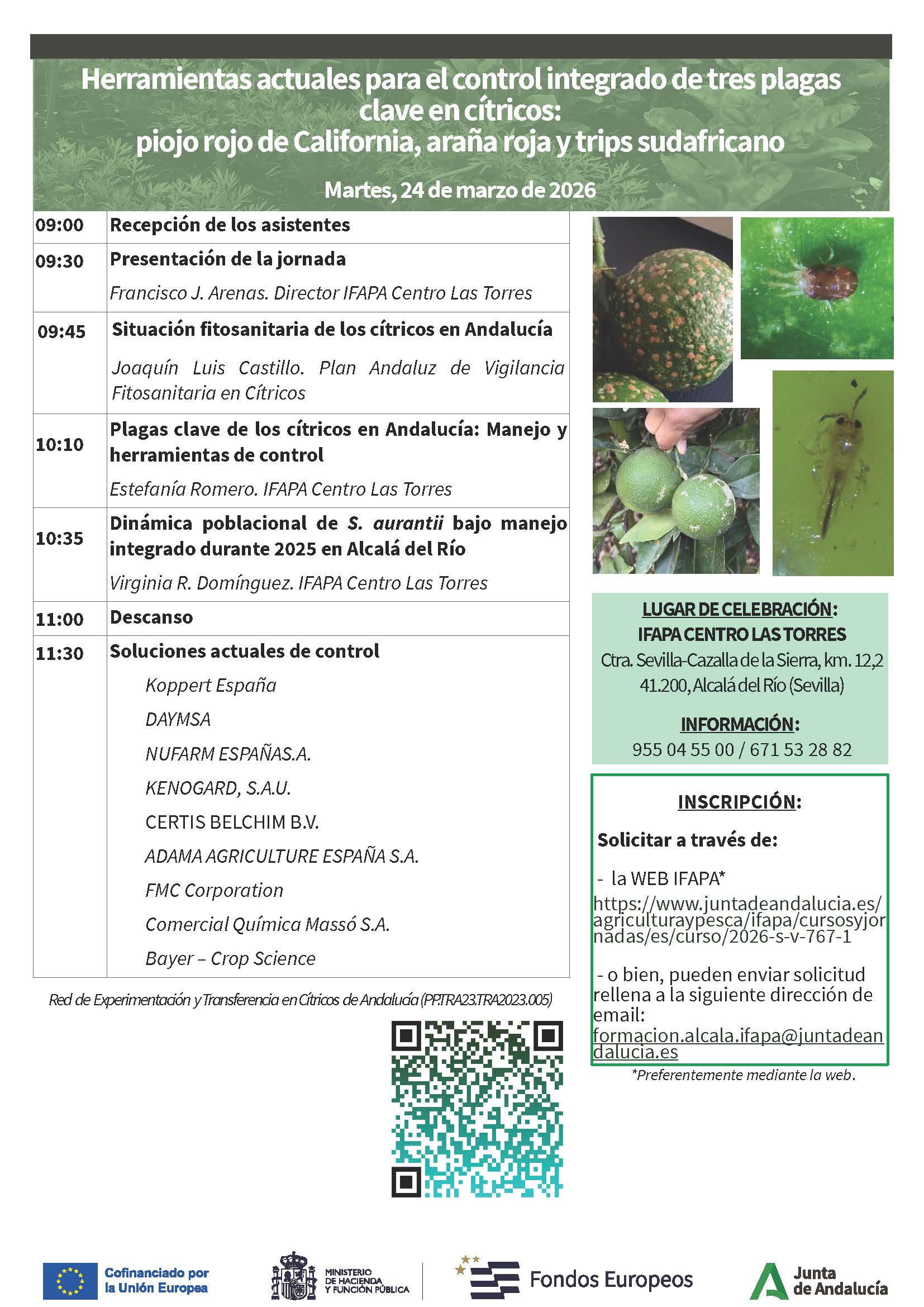 Abierta la inscripción - Jornada técnica sobre "Herramientas actuales para el control integrado de tres plagas clave en cítricos: piojo rojo de California, araña roja y trips sudafricano"